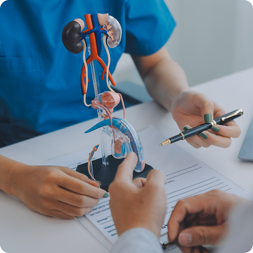 Check-up программа "Урологический для мужчин до 40 лет"